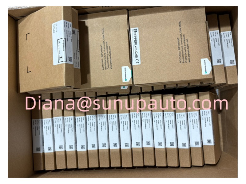 Pepperl+Fuchs HiD2082 dual-channel temperature converter reference image