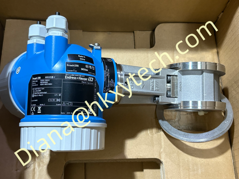 Endress+Hauser product reference image supplied for the FMP51 inquiry